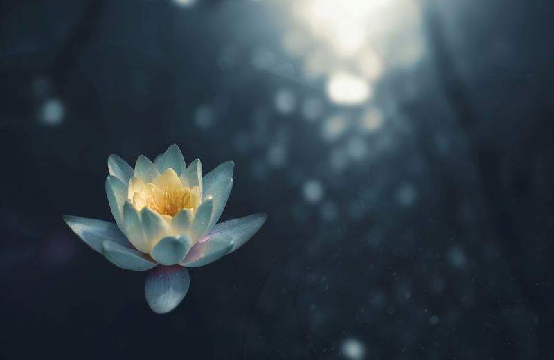 Yoga for begyndere: Tips til at komme i gang